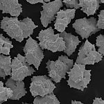 SEM ダイヤモンドパウダー LS105N-sp スパイクニッケルコート